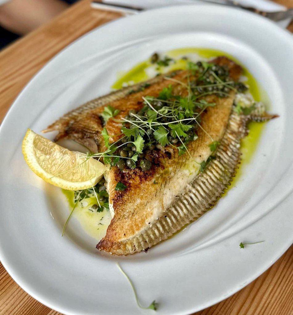 Scallop Shell Plaice